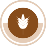 ruth free bible icon.png